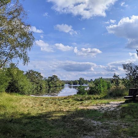 Sfeervol Chaletje In Een Rustige Bosrijke Omgeving Diessen Екстериор снимка