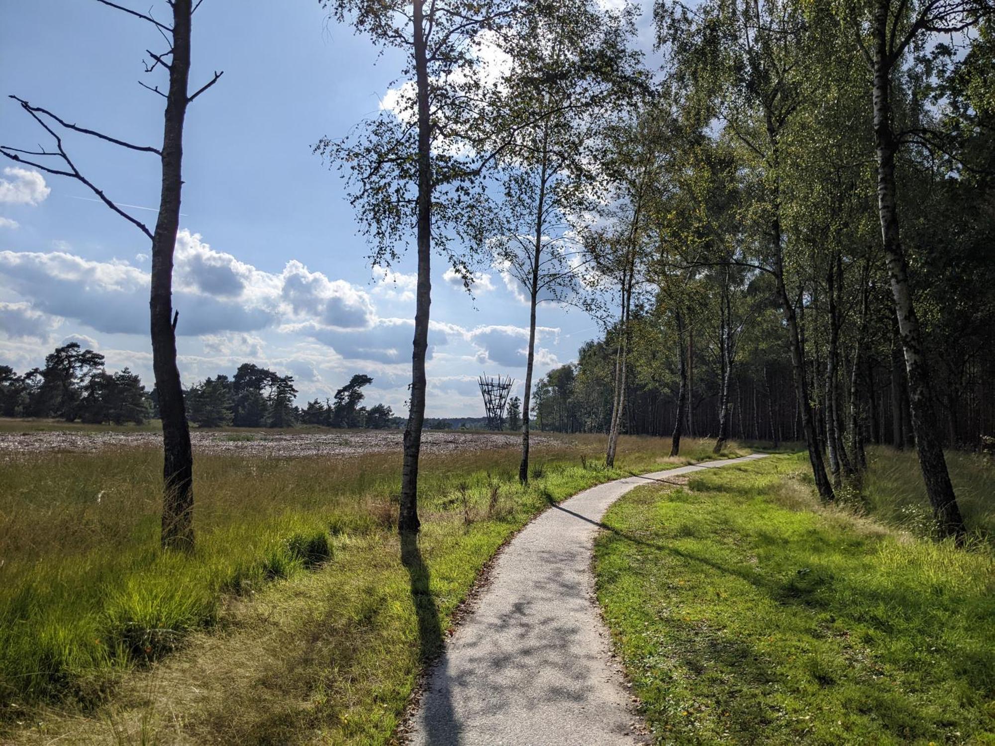 Sfeervol Chaletje In Een Rustige Bosrijke Omgeving Diessen Екстериор снимка